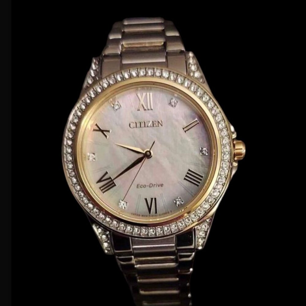 NIB Citizen Weekender Watch